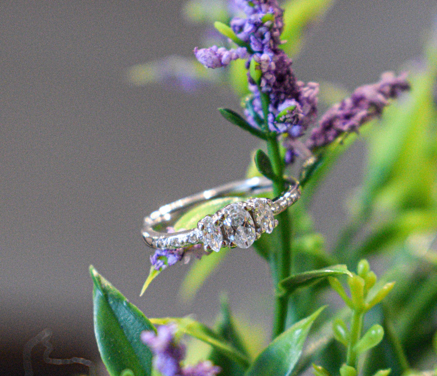 anello tris princess, foto artistica su fiore